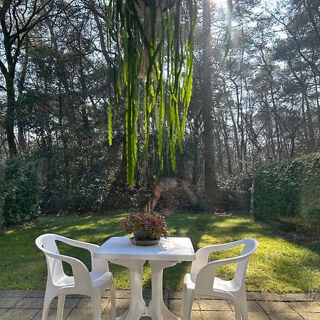 אוטרלו The Forest Lodge מראה חיצוני תמונה