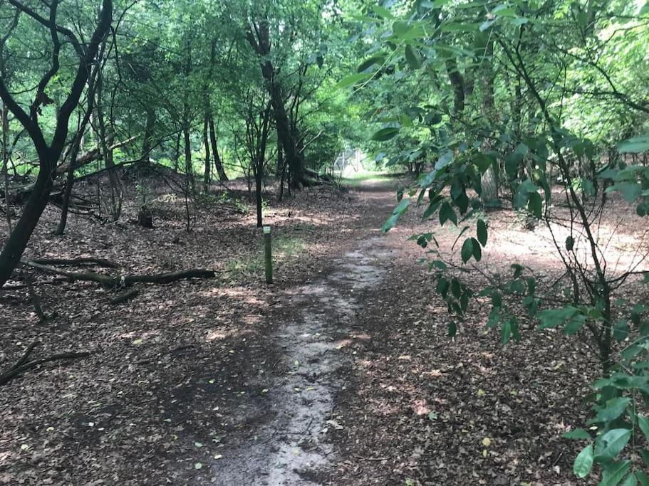 אוטרלו The Forest Lodge מראה חיצוני תמונה