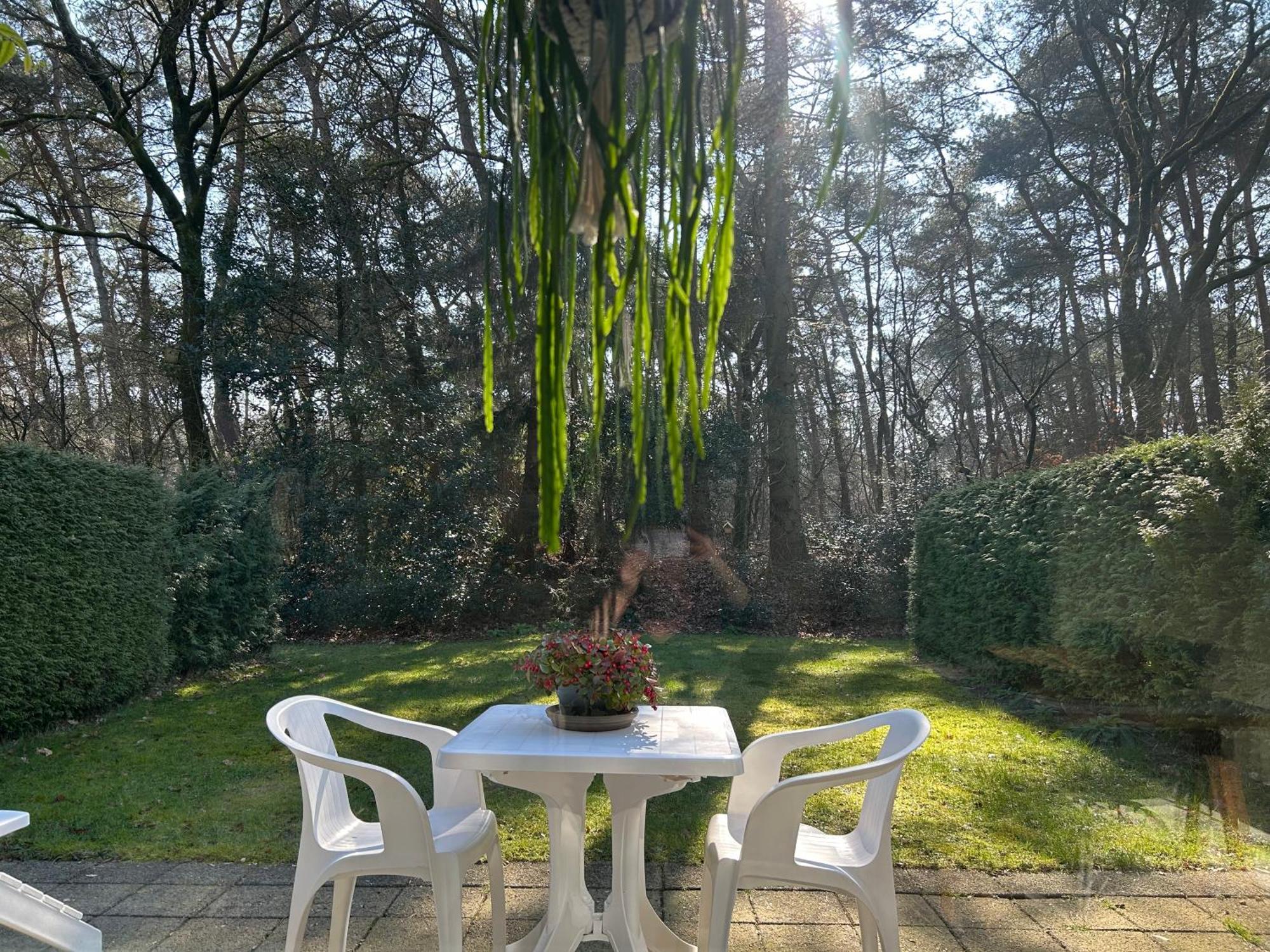אוטרלו The Forest Lodge מראה חיצוני תמונה